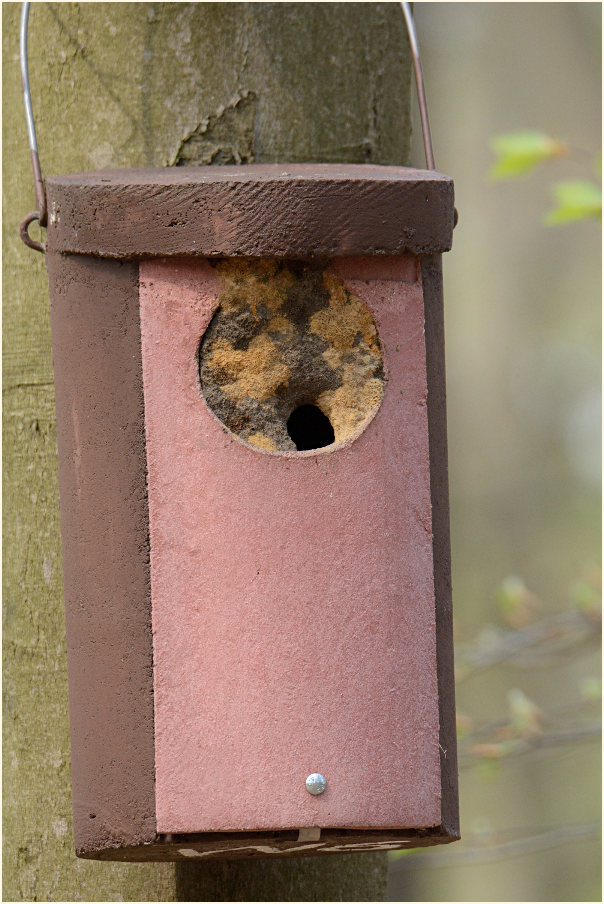 Kleiberh&ouml;hle, Aaperwald D&uuml;sseldorf