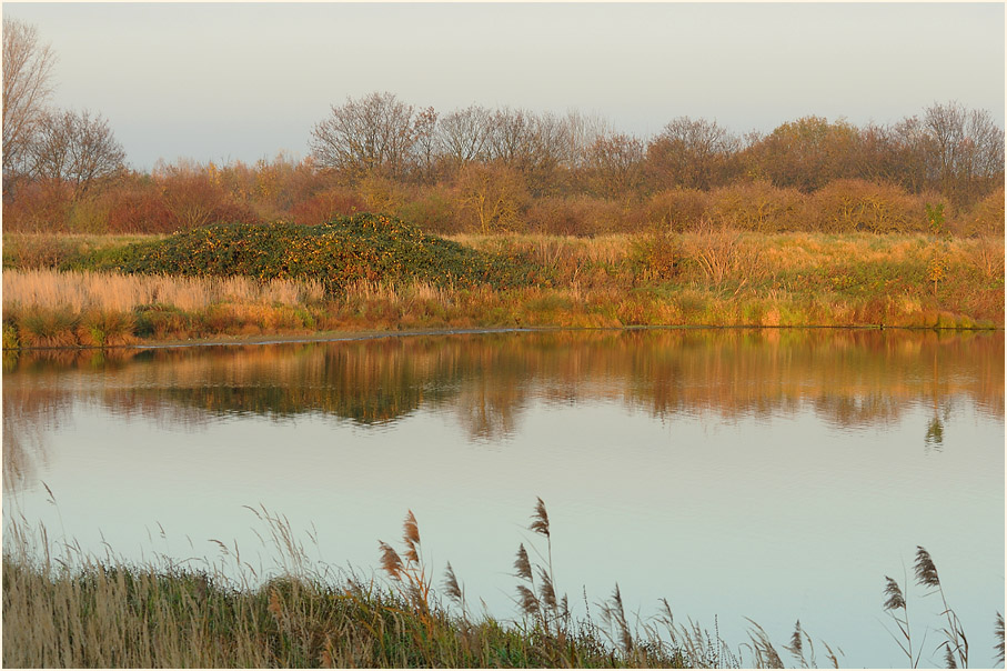 Bedburger Teiche