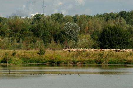 vergrößern