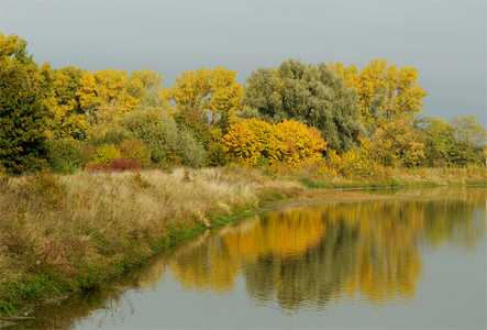 vergrößern