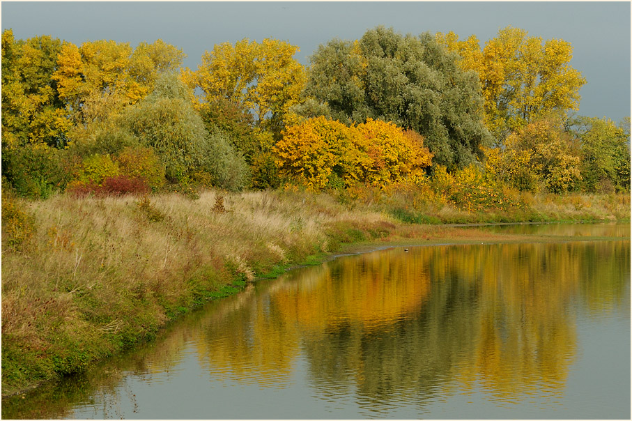 Herbst an den Bedburger Teichen