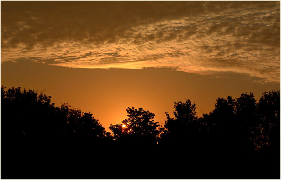 Sonnenuntergang, Bedburger Teiche