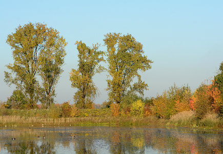 vergrößern