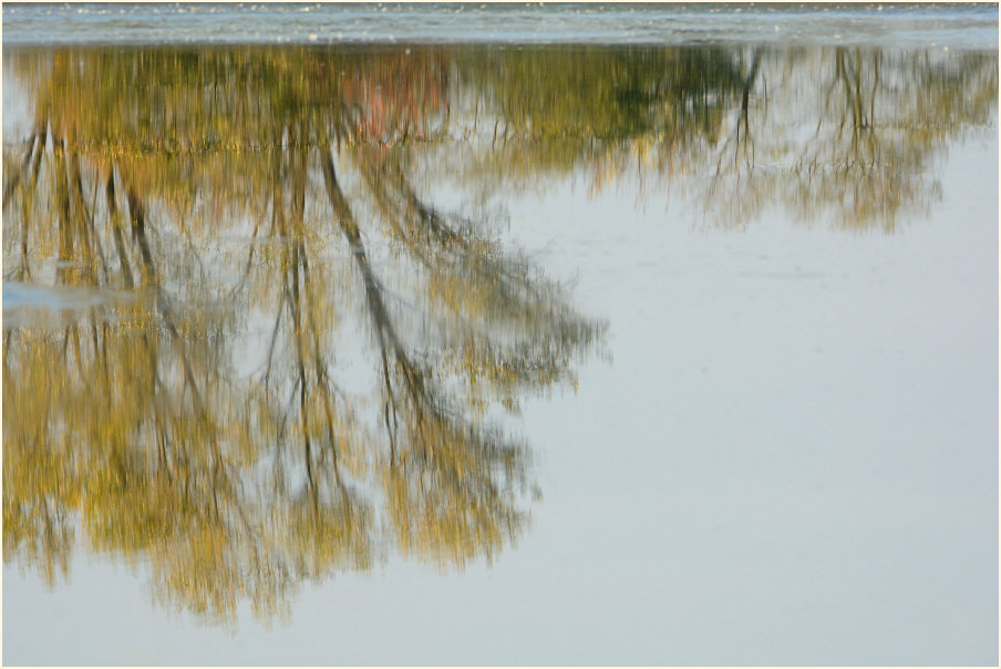 Wasserspiegelung, Bedburger Teiche