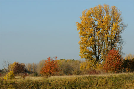 vergrößern