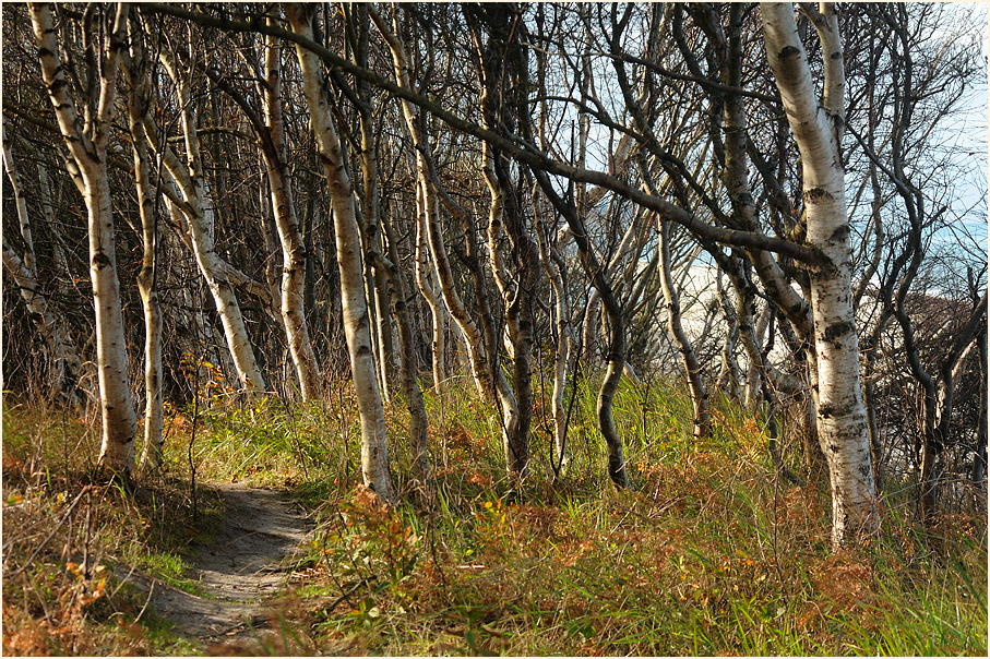 Dar&szlig;, Weststrand