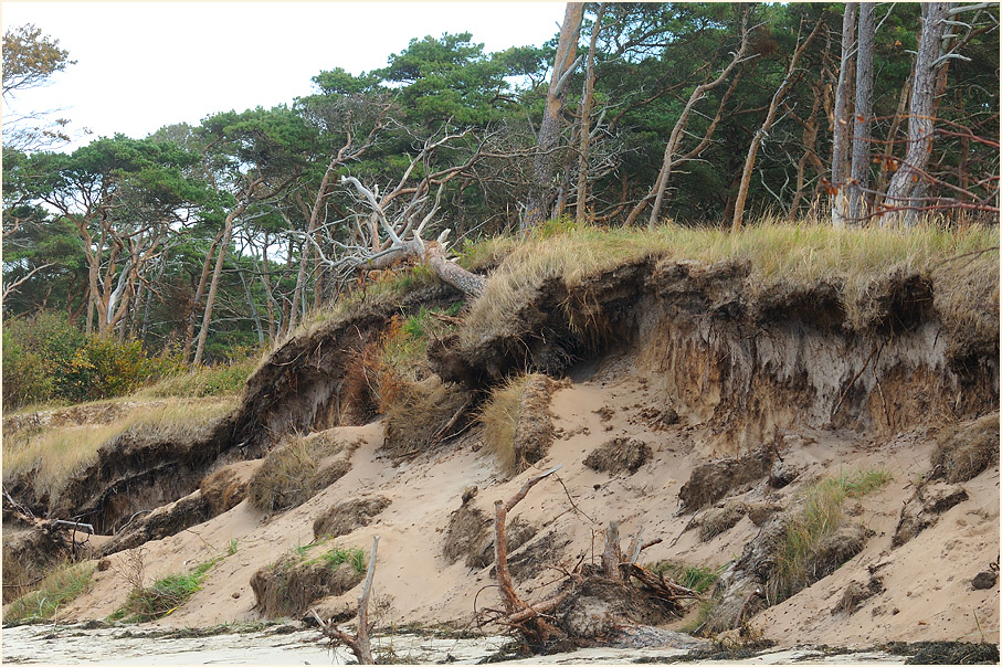 Dar&szlig;, Weststrand