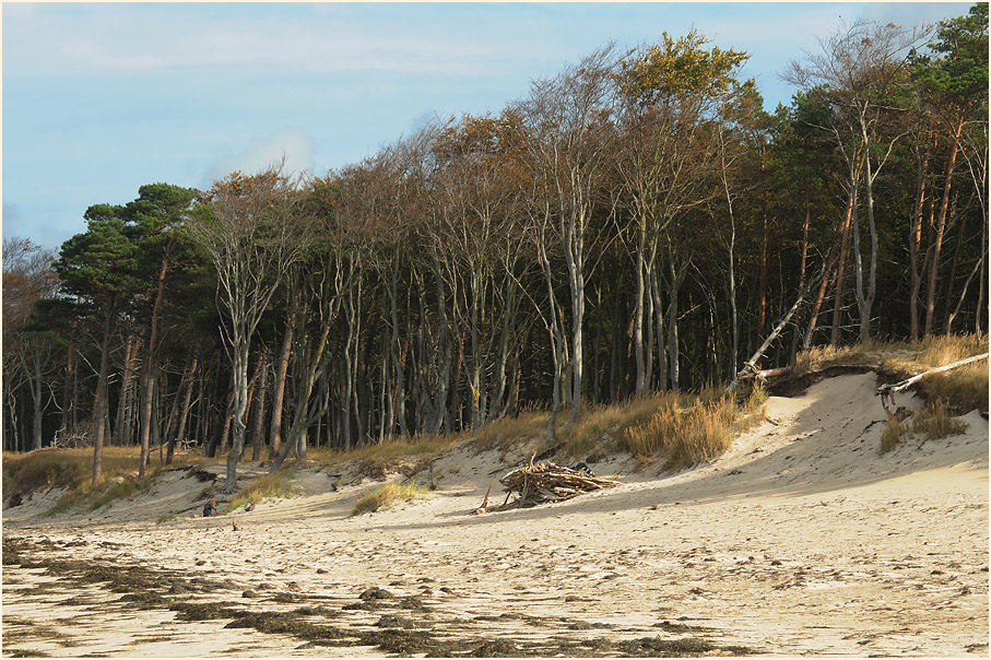 Darß, Am Weststrand