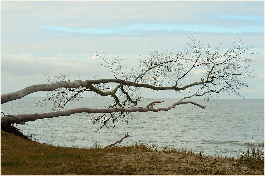 Dar&szlig;, Am Weststrand