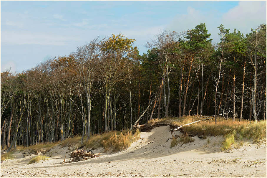 Darß, Am Weststrand