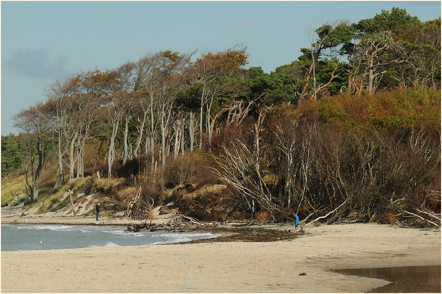 Darß, Am Weststrand