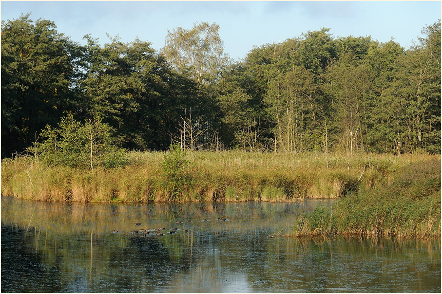 Darß, Am Prerowstrom