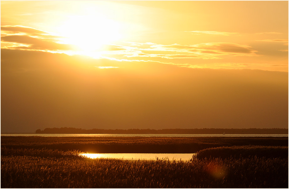 Dar&szlig;, Abendliche Boddenlandschaft