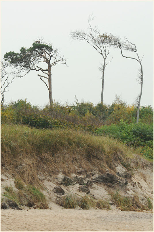 Darß, Weststrand