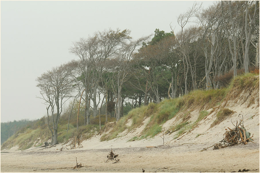 Dar&szlig;, Weststrand