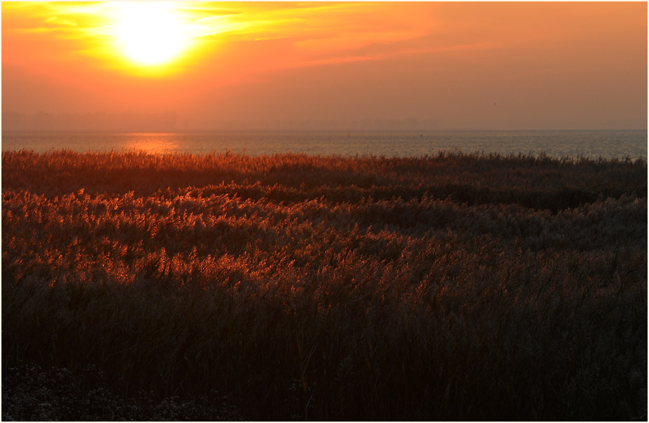 Darß, Sonnenuntergang Kinnbackenhagen