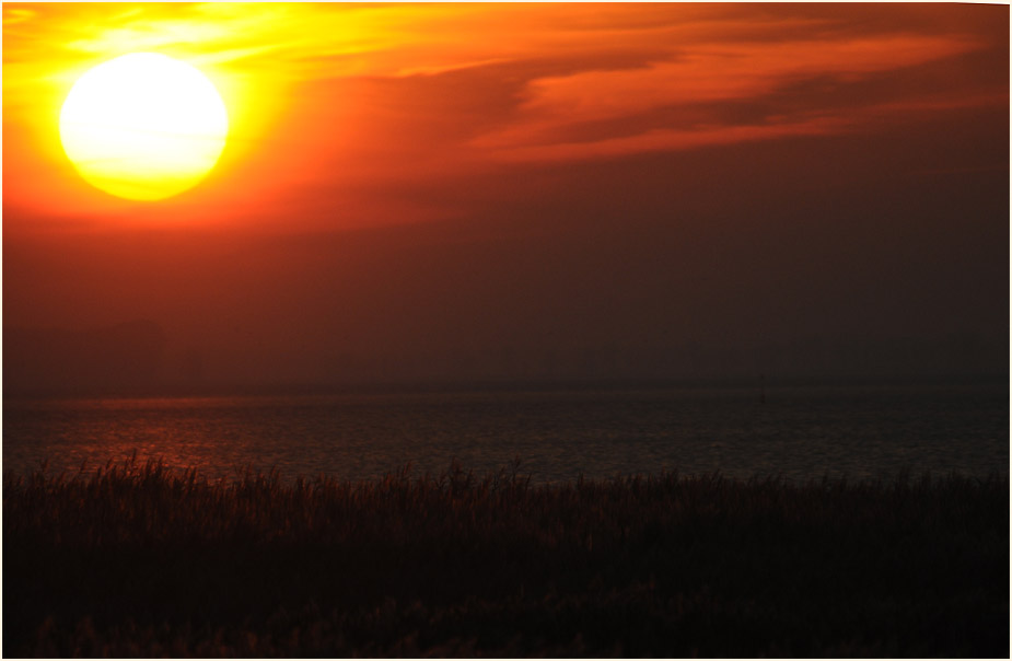 Darß, Sonnenuntergang Kinnbackenhagen