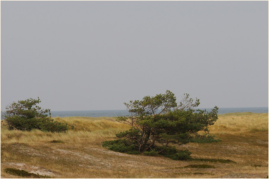 D&uuml;nen Dar&szlig;er Ort