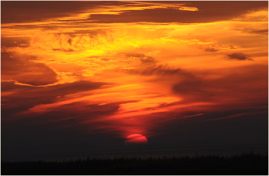 Darß, Sonnenuntergang Kinnbackenhagen