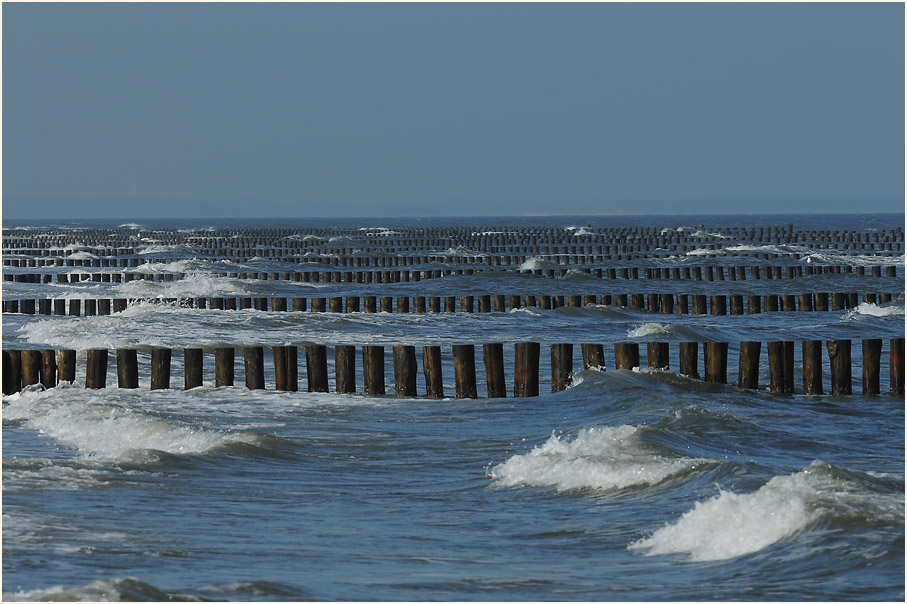 Darß, An der Ostsee