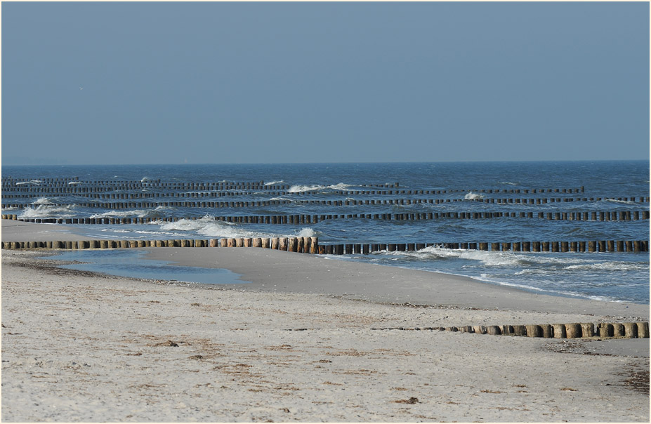 Darß, An der Ostsee