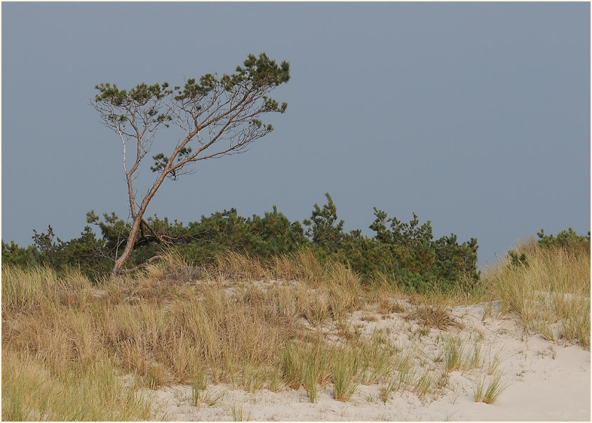 D&uuml;nen Dar&szlig;er Ort