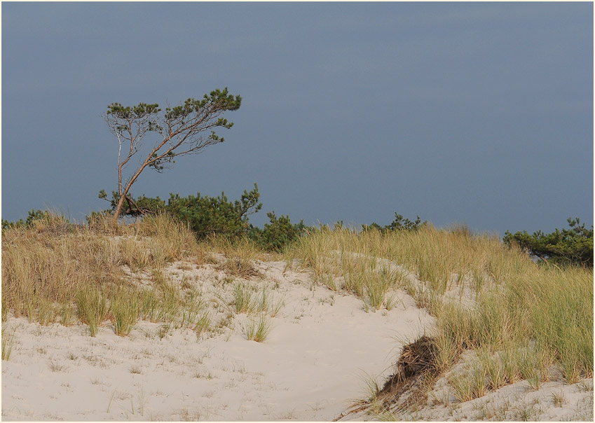 D&uuml;nen Dar&szlig;er Ort