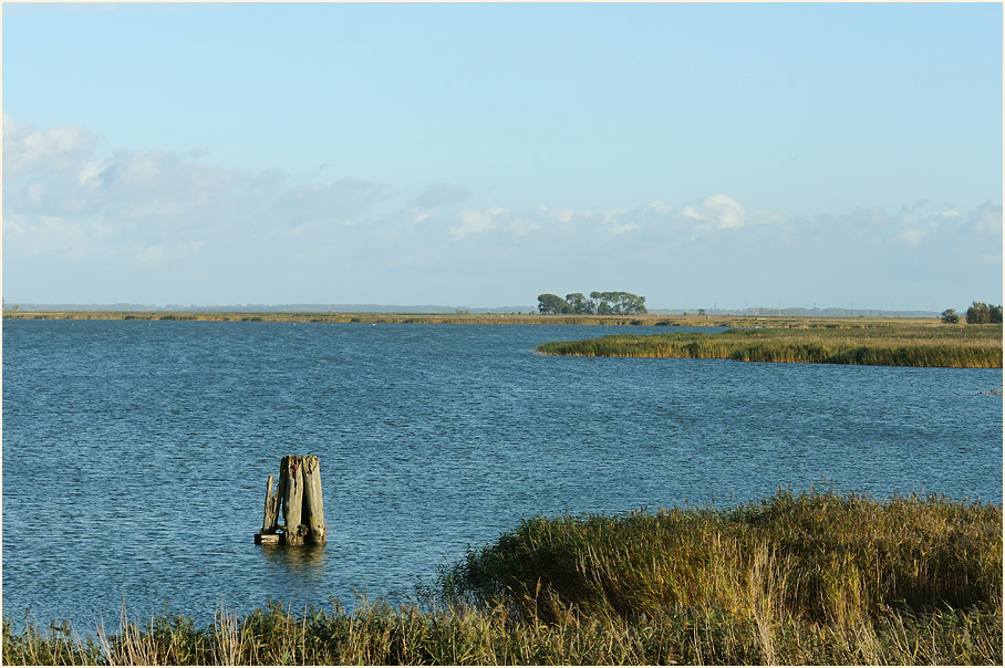 Darß, Boddenlandschaft