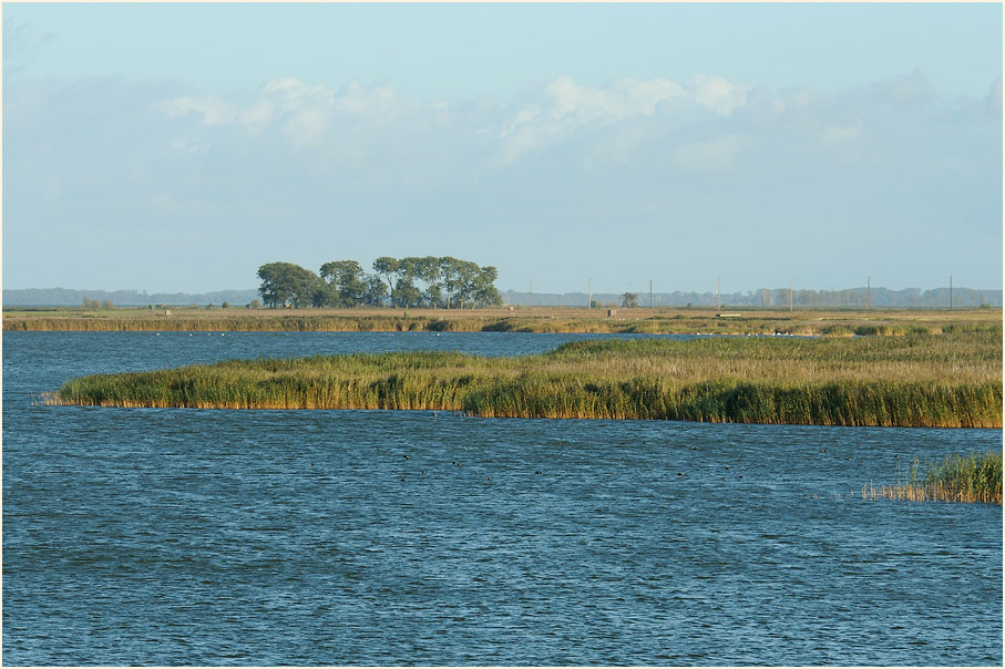 Dar&szlig;, Boddenlandschaft