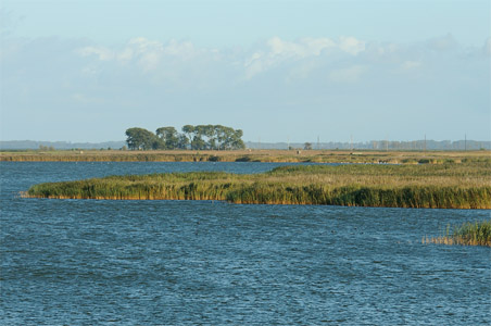 vergrößern
