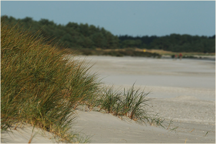 Dar&szlig;, Nordstrand