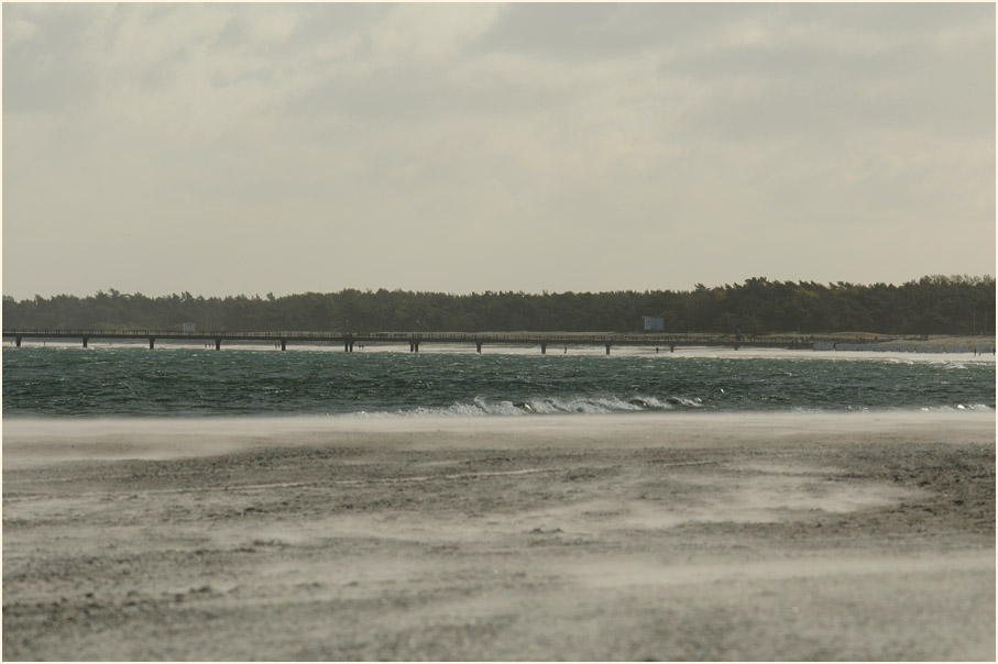 Dar&szlig;, Nordstrand bei Sturm