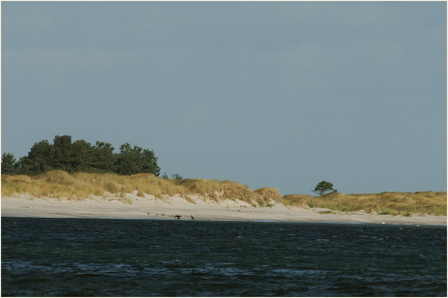 Dar&szlig;, Nordstrand