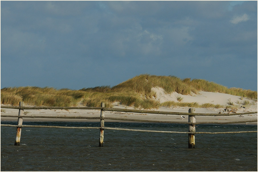 Dar&szlig;, Dar&szlig;er Ort