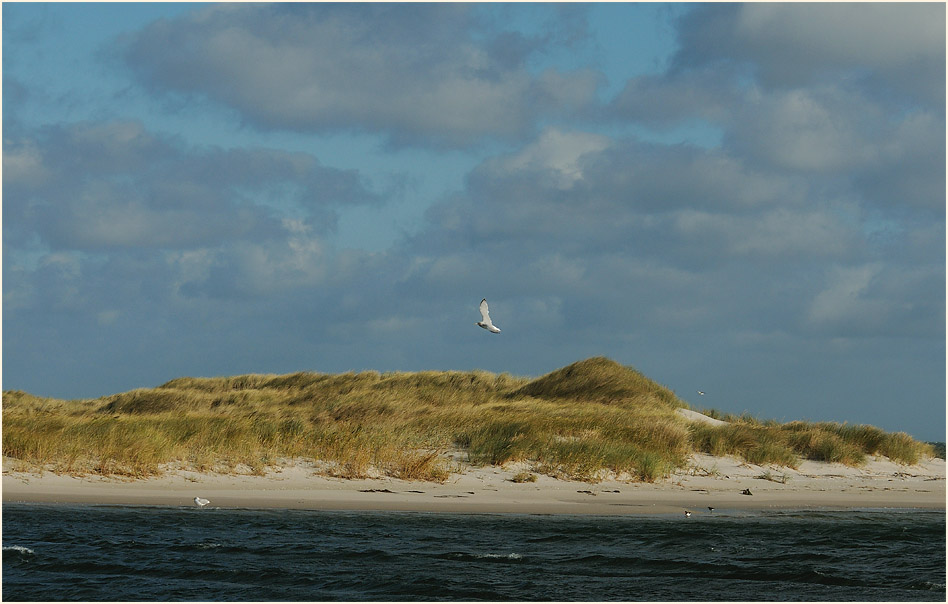 Dar&szlig;, Dar&szlig;er Ort