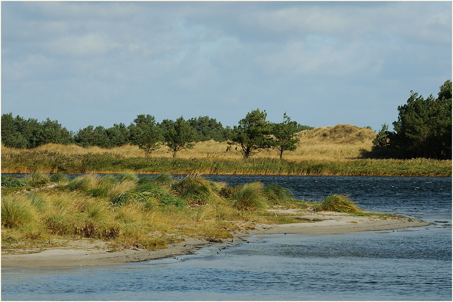 Dar&szlig;, Dar&szlig;er Ort