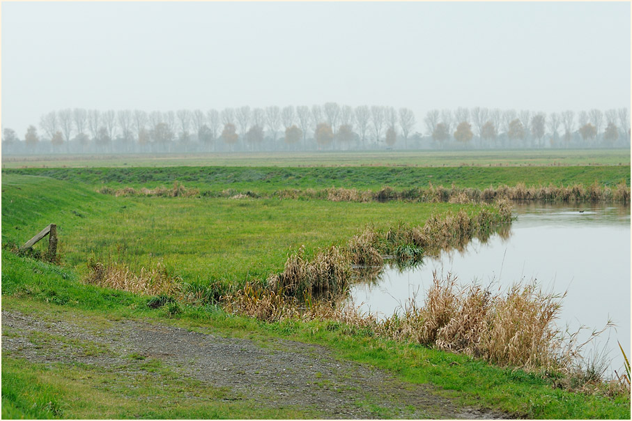 Niederung am D&uuml;mmer