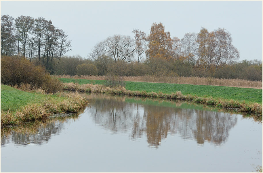 Niederung am D&uuml;mmer