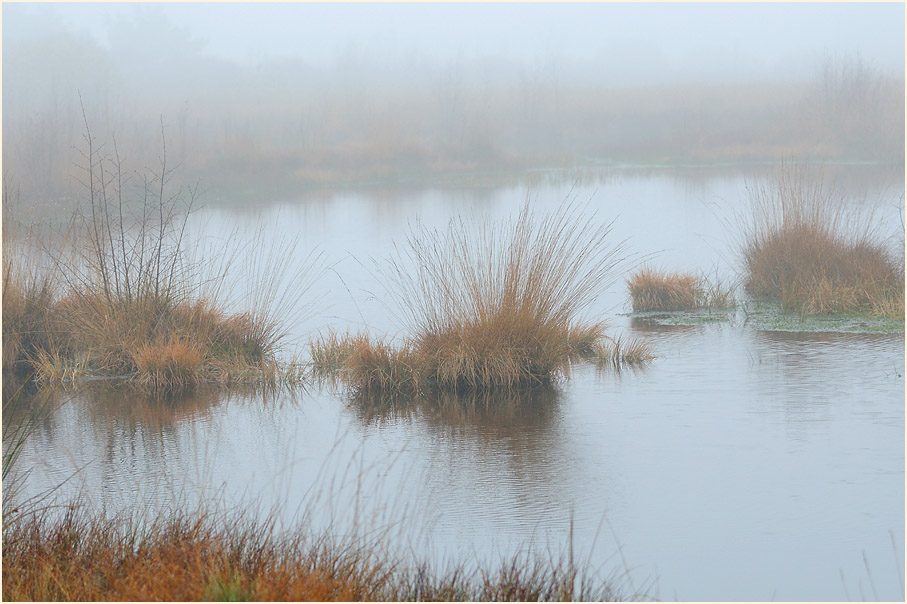 Neust&auml;dter Moor