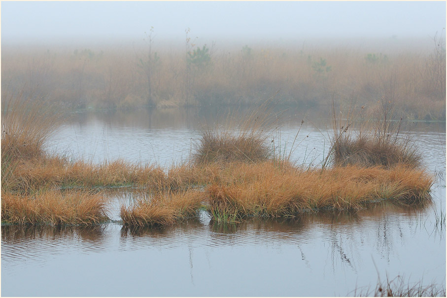 Neust&auml;dter Moor