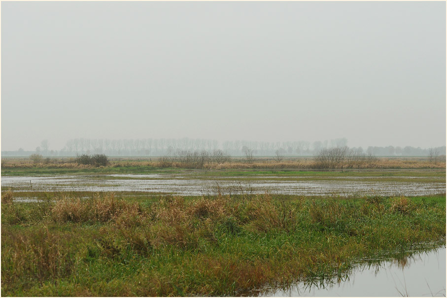 Niederung am D&uuml;mmer