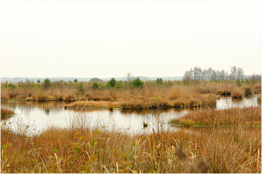 Neust&auml;dter Moor