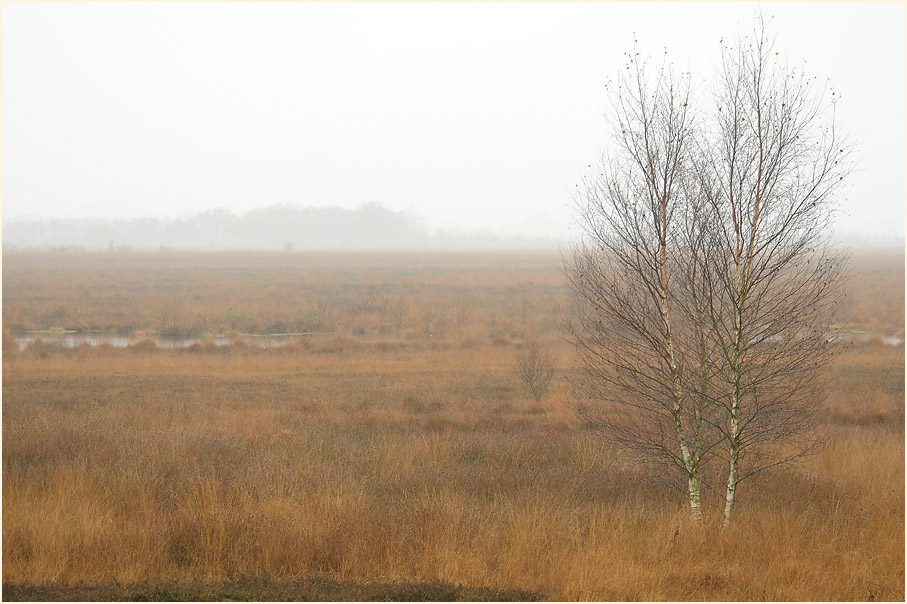 Neust&auml;dter Moor