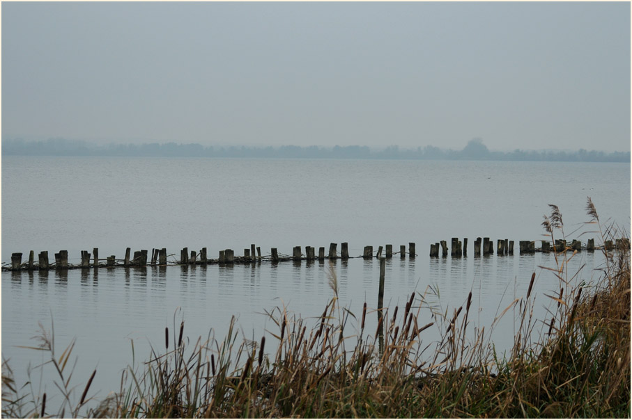 D&uuml;mmer, Niedersachsen