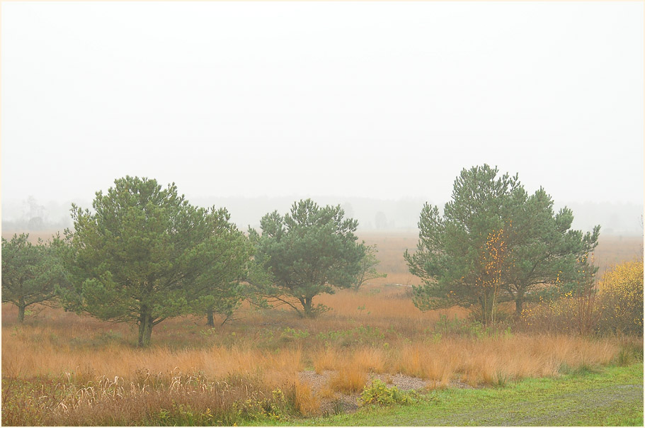 Neust&auml;dter Moor