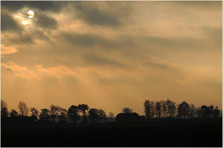 Novembersonne, Niederung am Dümmer