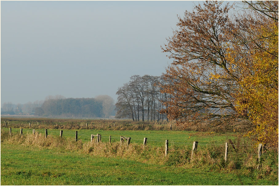 Niederung am D&uuml;mmer