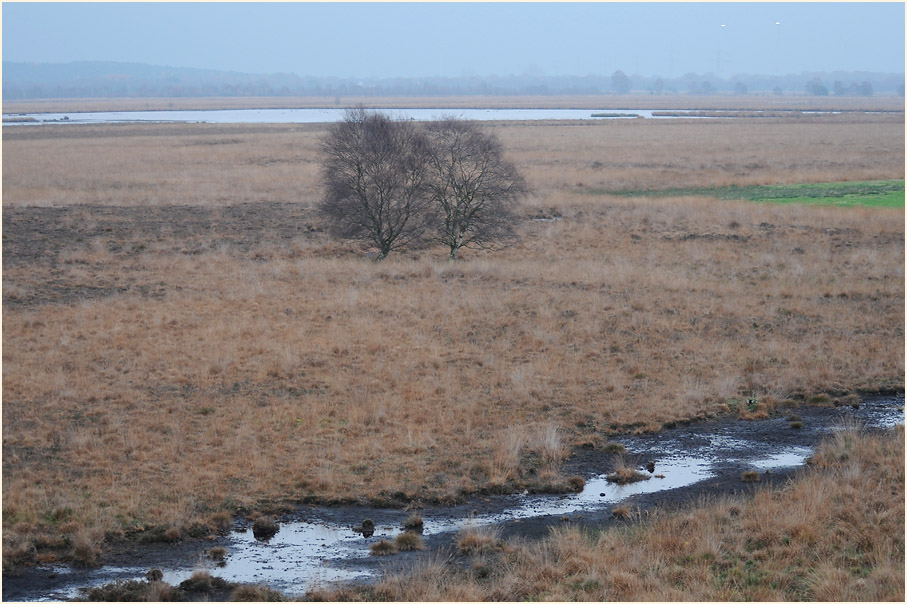 Rehdener Geestmoor, Niedersachsen
