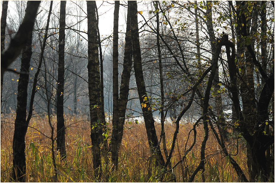 Bergsee Dammer Berge