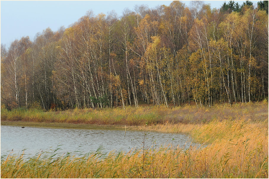 Bergsee, Dammer Berge